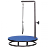 Me  Pet Grooming Table 18In Blue