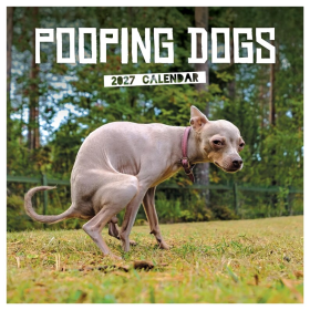 2027 Pooping Dogs Wall Calendar