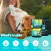Skin Health Chew for Dogs Supports Coat and Skin
