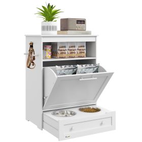 Pet Feeder Station with Storage, 2 Raised Dog Bowls