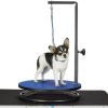Me  Pet Grooming Table 18In Blue