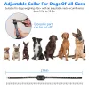 Wireless Electric Dog Fence Boundary Containment System