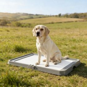 Dog Litter Box (Option: Defaulttitle)