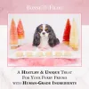 Dog Macarons - Box Of 6