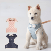 Pet Harness and leash set