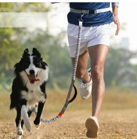 Hands Free Dog Leash for Medium and Large Dogs (colour: Orange -4211, Specification (L * W): 2.5*160cm)