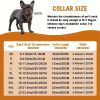 Crystal Artificial Diamondoid Dog Collar