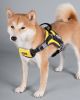 Helios 'Scorpion' Sporty High-Performance Dog Harness