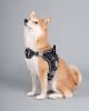 Helios 'Scorpion' Sporty High-Performance Dog Harness