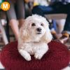 Cozy Nest Dog Bed