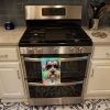 Schnauzer Hippie Dawg Kitchen Towel Dish Cloths Guest Hand Towel Decorative Bathroom Towel for Face,Tea, Dishcloth, Kitchen and Bath