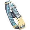 Tough Stitched Embroidered Collar and Leash