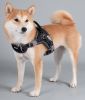 Helios 'Scorpion' Sporty High-Performance Dog Harness