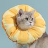 Elizabeth circle dog lick-proof collar