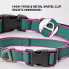 Waterproof Stain-Resistant Dog Collar, Green & Pink Color Block Pet Neck Strap, Adjustable Quick-Release Buckle, Comfortable No Choking
