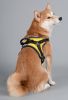 Helios 'Scorpion' Sporty High-Performance Dog Harness