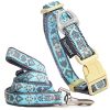 Tough Stitched Embroidered Collar and Leash
