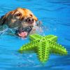 Dog Toy Molar Stick Leaking Food Dog Toothbrush