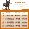 Crystal Artificial Diamondoid Dog Collar