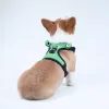 Dog Harness Set with or without Leash