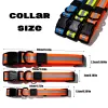 Reflective PVC Dog Leash & Collar Set | Waterproof Heavy Duty Safety Lead